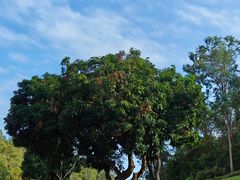 -三亚南山文化旅游区