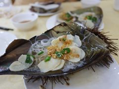 带子-海岛渔村大酒店(云霄路店)