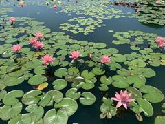 -南通洲际绿博园