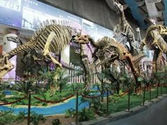 -国家自然博物馆