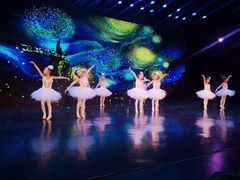 -中央芭蕾舞团·中芭艺蕾(酒仙桥明星校区)