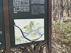 -南京老山国家森林公园