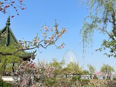 -无锡蠡湖国家湿地公园-蠡园