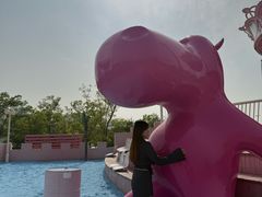 -九龙湖公园