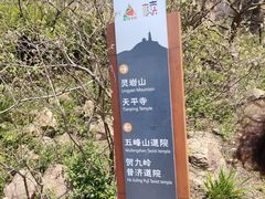 -灵岩山风景区