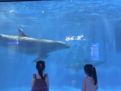 -福州罗源湾海洋世界旅游区