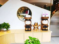 -飞行喵MR PILOT|猫舍·猫咖(静安大融城店)