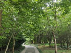 -贵阳市花溪国家城市湿地公园