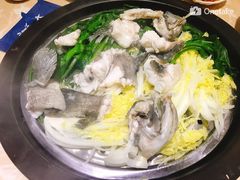 龙趸鱼-海大大蒸汽海鲜餐厅·粤菜·特色小炒(欢乐颂店)