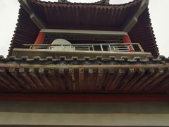 -北京鹫峰国家森林公园