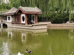 -团结湖公园