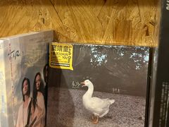 -独音唱片 Indie Music