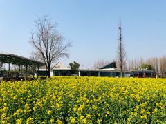 -田园东方蜜桃村的田野营地
