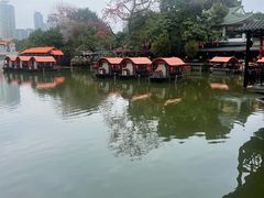 -侨美·唐荔园·40年地道粤菜