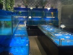 水产区-王家渡火锅店(怀柔迎宾北路店)