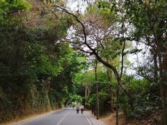 -梧桐山风景名胜区