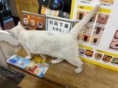 -正南齐北·老街糯米团(洪崖洞店)