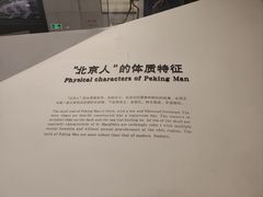 -北京周口店北京人遗址博物馆