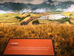 -重庆自然博物馆(新馆)
