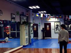 -咏春拳学总会·一拳咏春(双井店)