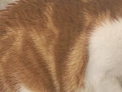 -星巴克(深圳龙华人民北店)
