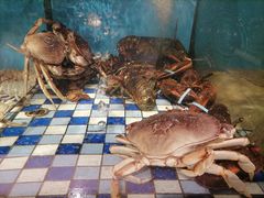 -东营蓝海御华大饭店渔歌舫(潍河路店)