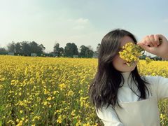-蜀绣公园