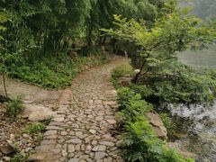 -水墨汀溪风景区