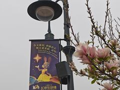 -迪士尼小镇