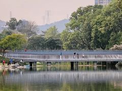 -深圳国际园林花卉博览园