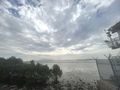 -宝安西湾红树林湿地公园