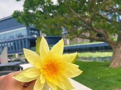 -星巴克(深圳前海企业公馆店)