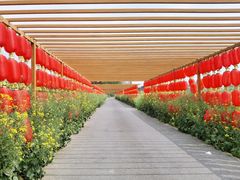 -中国天府农业博览园