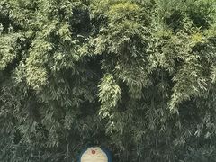 -云间粮仓