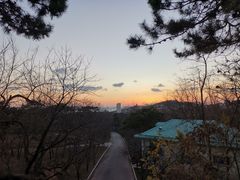 -青岛中山公园-索道售票处