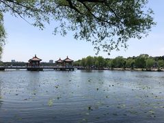 -长春市南湖公园