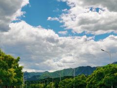 -白水寺森林公园
