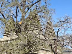 -北京石刻艺术博物馆(五塔寺)