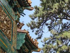 -香山公园