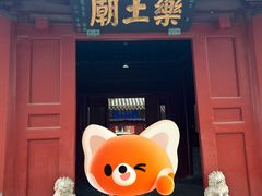 -药王庙(安国市)