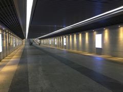 -沈家门渔港