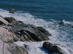 -广东惠东海龟国家级自然保护区