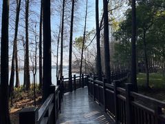 -东湖落雁景区