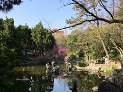 -叶家花园
