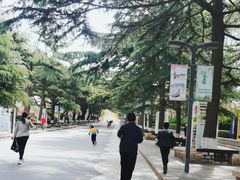 -贮水山儿童公园