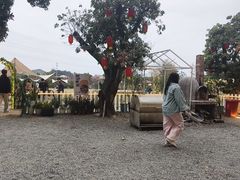 -长洲岛都市农业公园