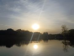 -大兴滨河森林公园