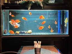 -C31地窖餐厅(黑龙江北路店)