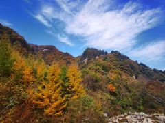 -秦岭风景区