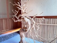 -荣一代目OMAKASE板前料理